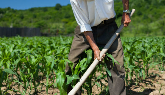 The Way of Diligence