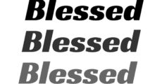 THE BLESSING